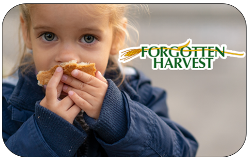 rounded update final